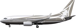 Boeing BBJ 737 Image