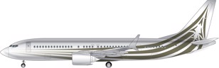 Boeing BBJ 737 Max 8 Image