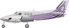 Blackhawk King Air C90 XP135A Image