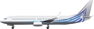 Boeing BBJ 3 737 Image