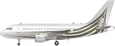 Airbus ACJ318 Image