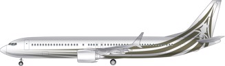 Boeing BBJ 737 Max 9 Image