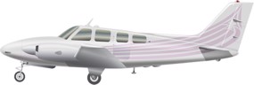 Beechcraft Baron E55 Image